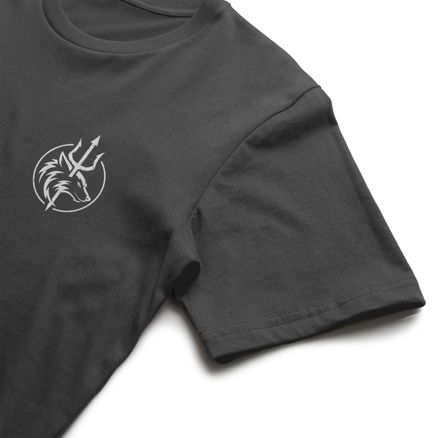 Bella Canvas T Shirt