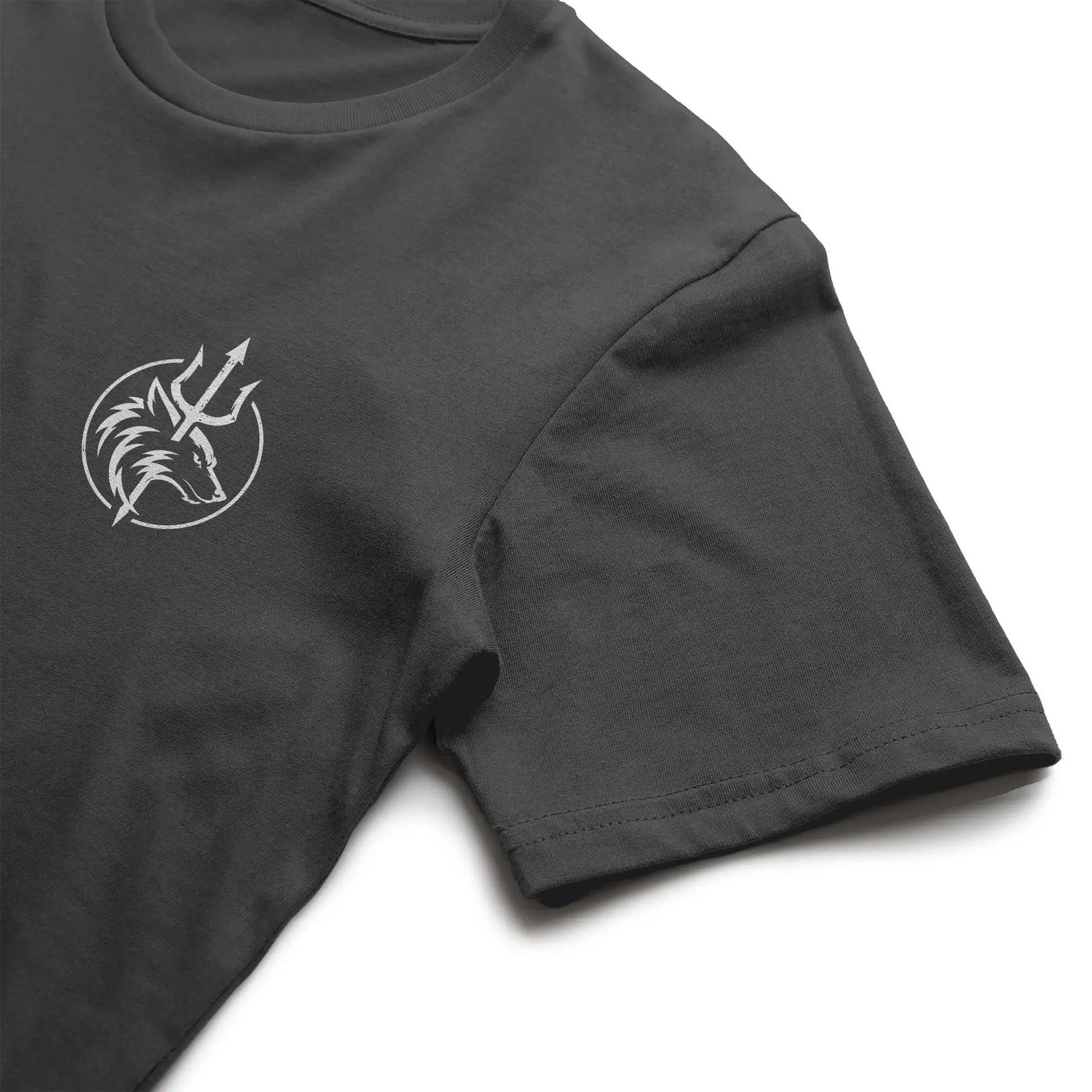 Bella Canvas T Shirt